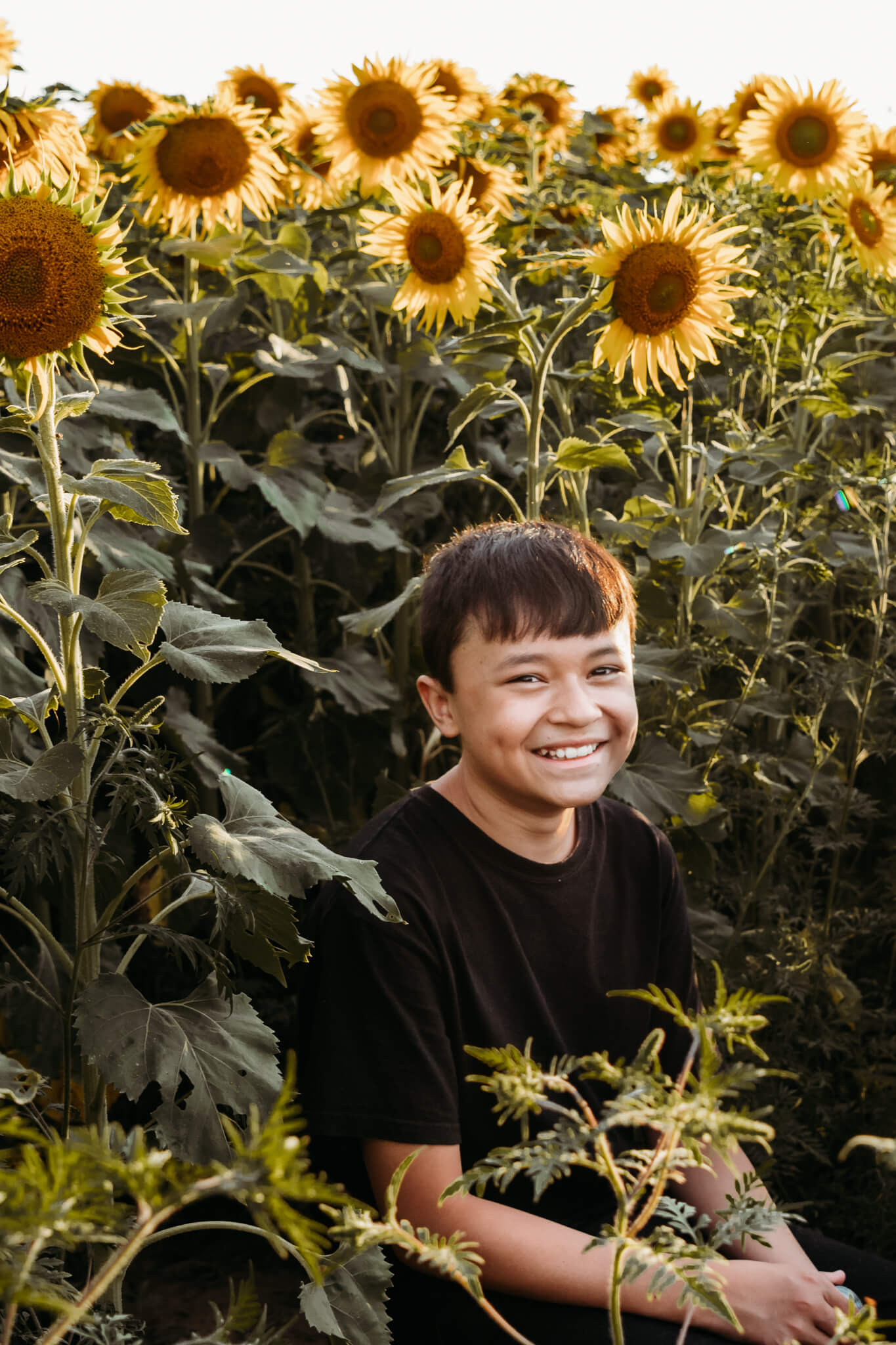 young boy smiling in a field of sunflowers for a blog about oshkosh dentist by Ashley Kalbus