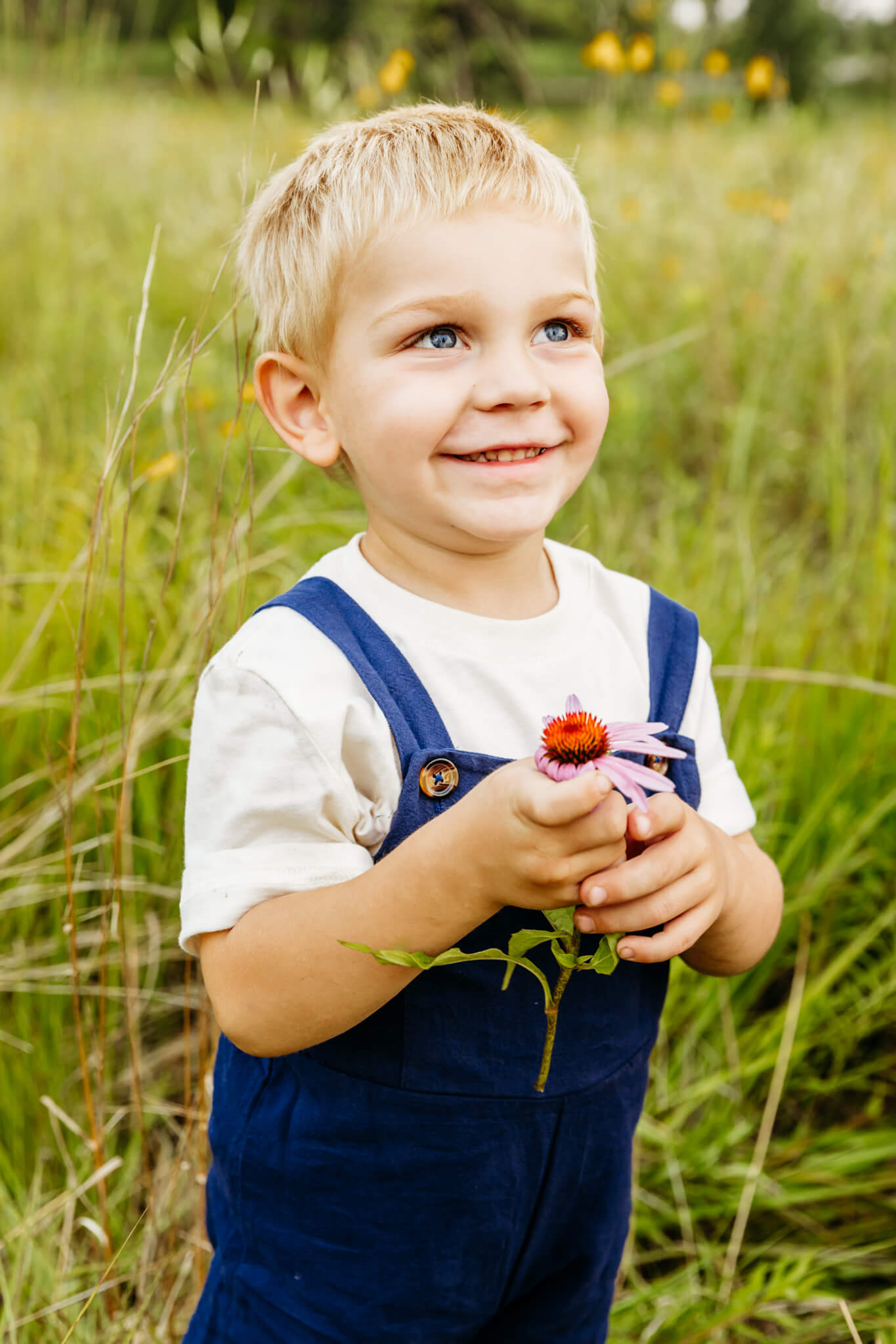 adorable little boy in blue overalls and a white shirt holding a wildflower for a blog post about Florence Eiseman Milwaukee